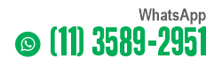 11 3589-2951